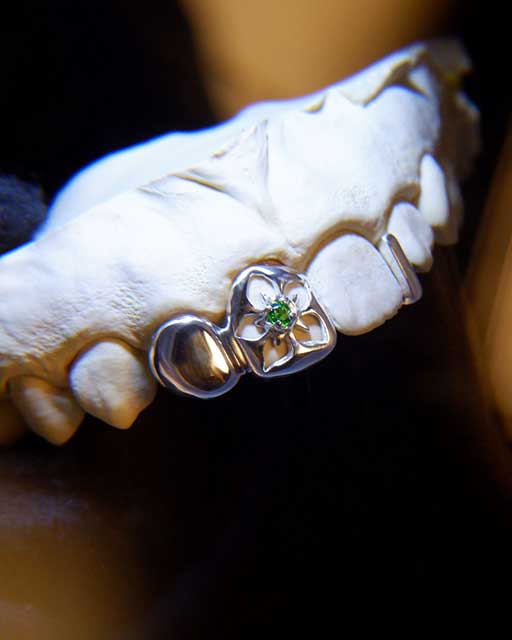 DATUWRKS custom grillz gallery showcase 15