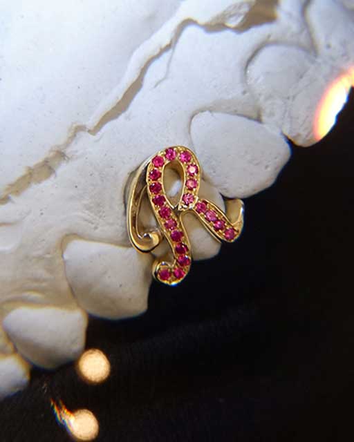 DATUWRKS custom grillz gallery showcase 17