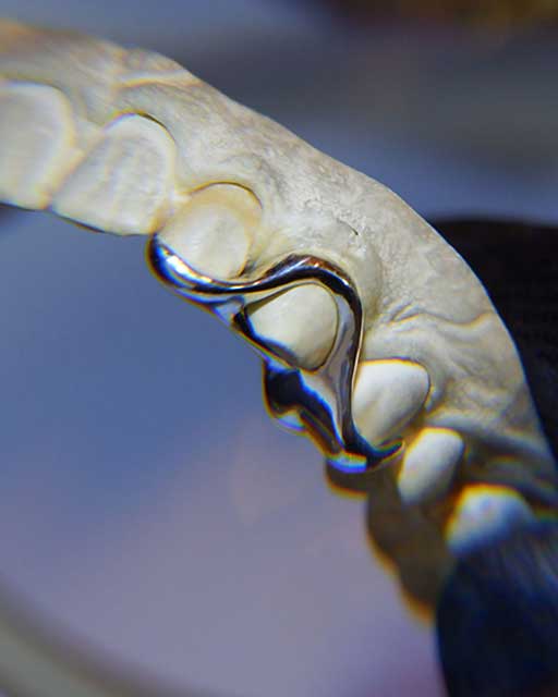 DATUWRKS custom grillz gallery showcase 22